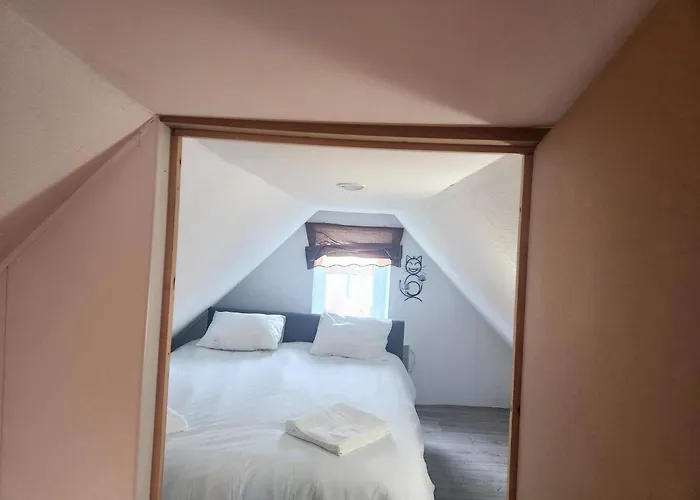 Welcome To Our Mouscron Cocoon * Marcinelle